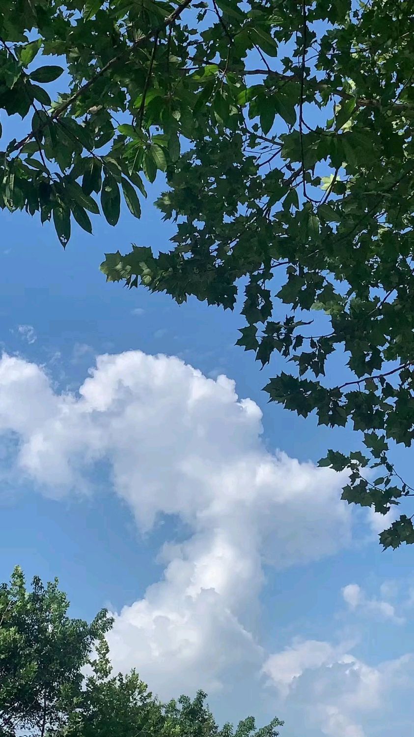 如果有人发天空的图片给你,证明他(她)想你了-度小视