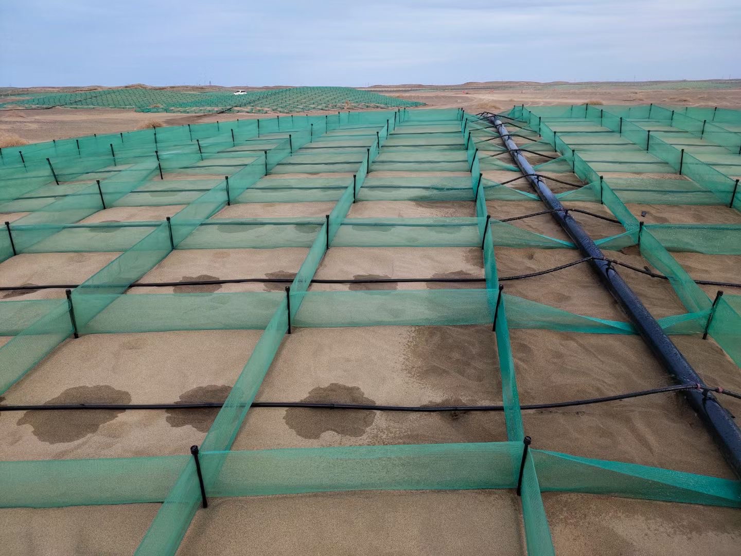 阻沙固沙网的治沙方式是怎样的呢