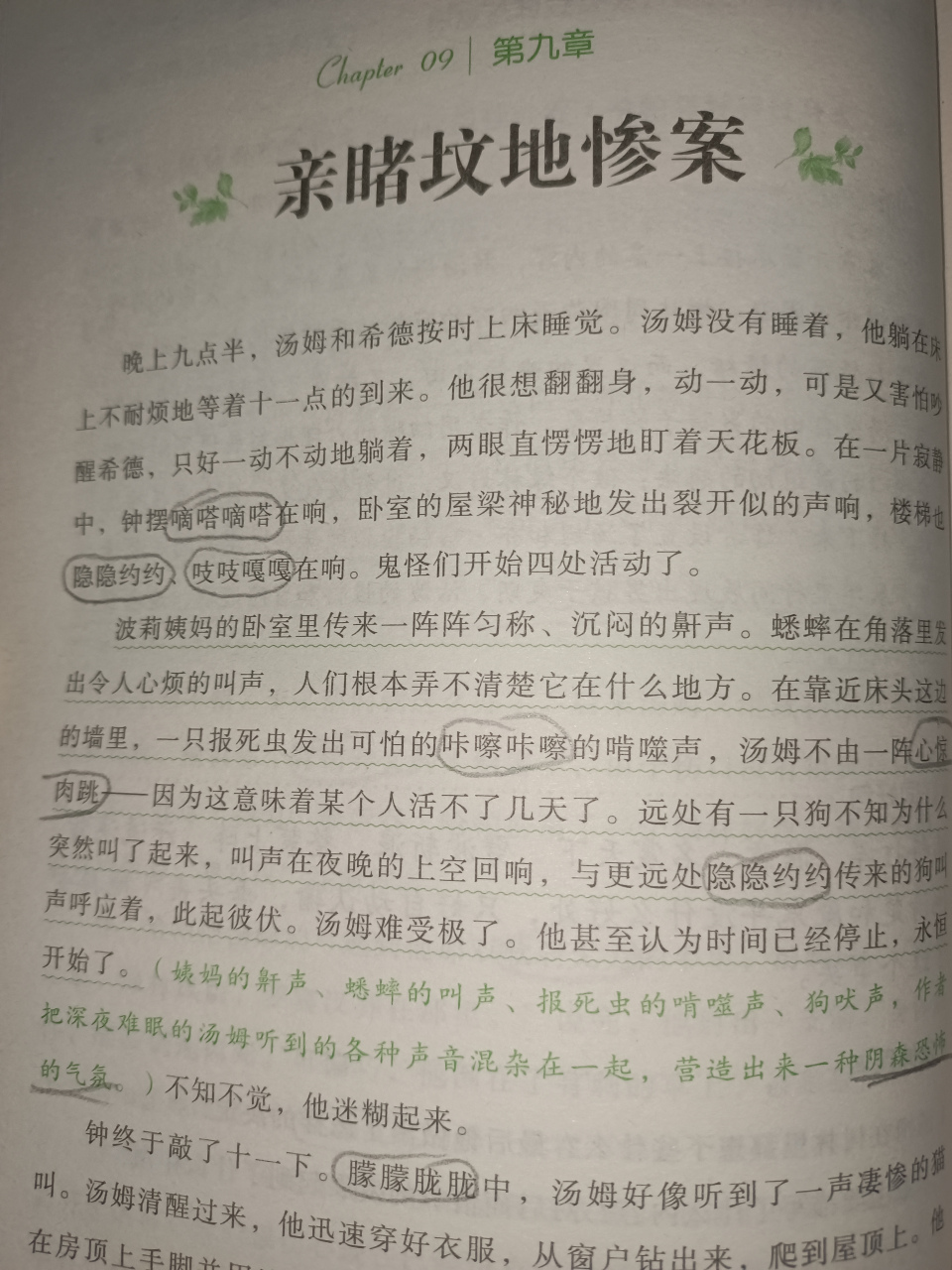 亲睹坟地惨案《汤姆索亚历险记》环境烘托妙 本章开篇,作者就通过环境