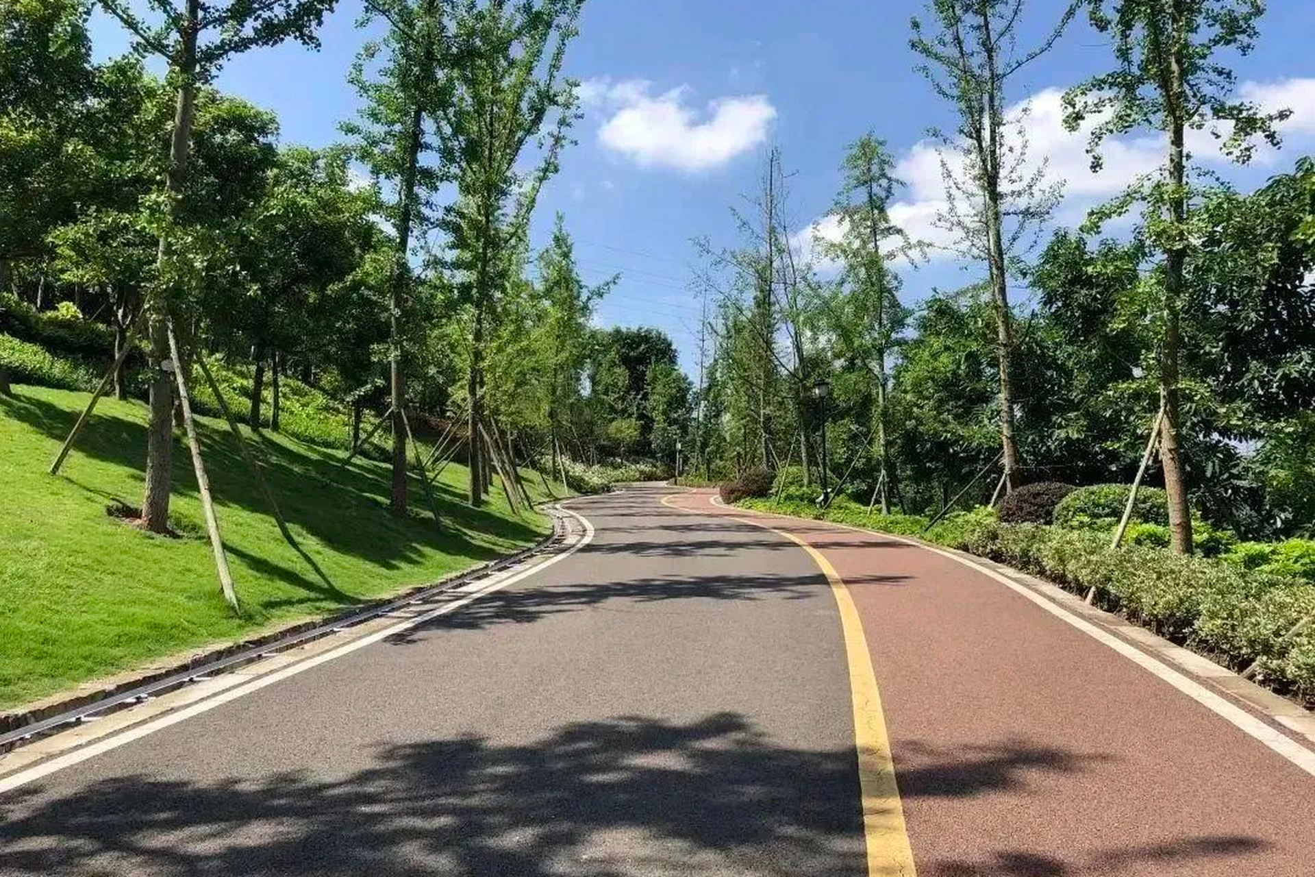 内江塔山公园,是川南最大的城市山地公园之一,占地超过了1500多亩.