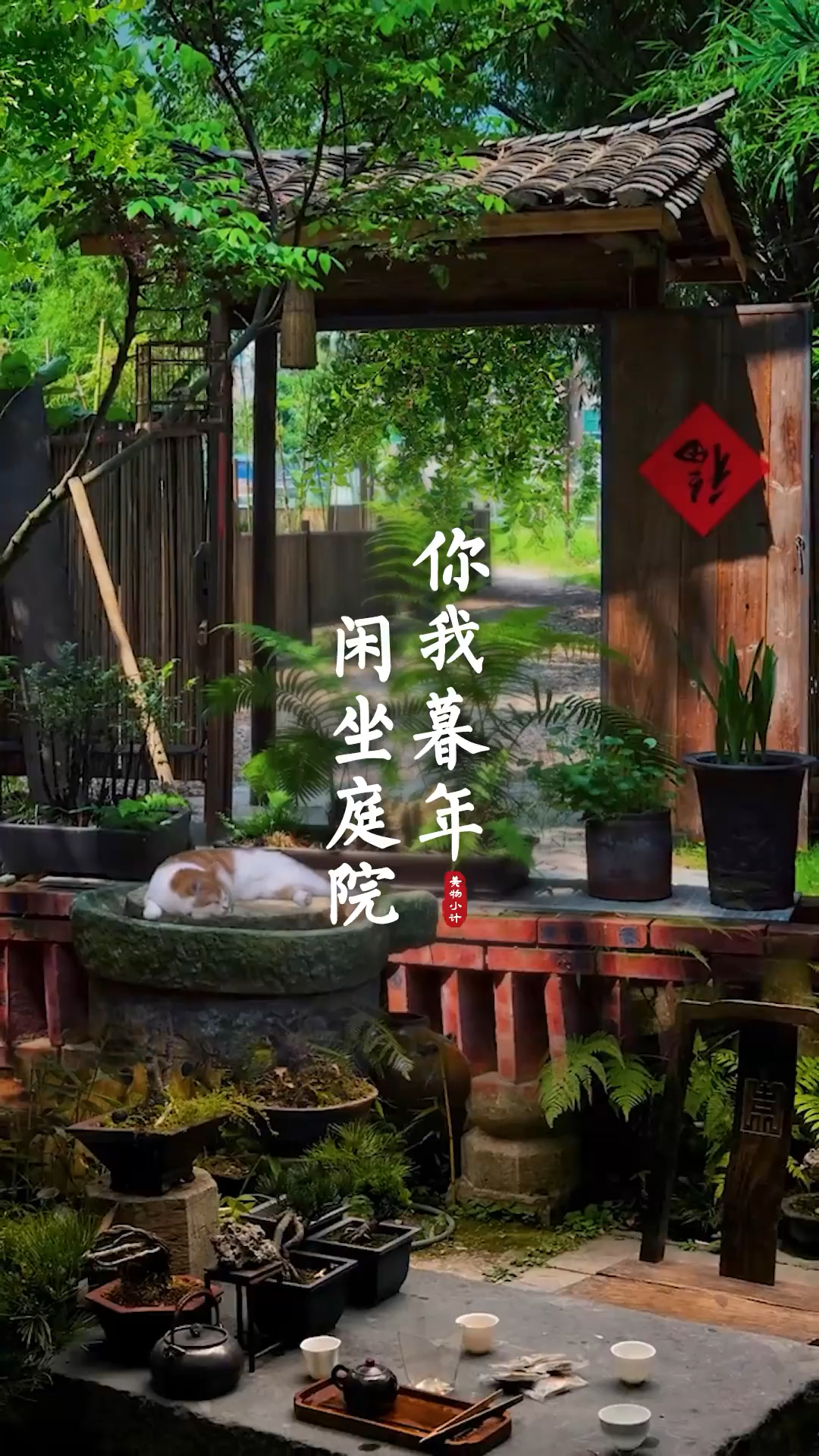 最向往的生活,你我暮年,择一小院,静坐庭前,笑谈流年.