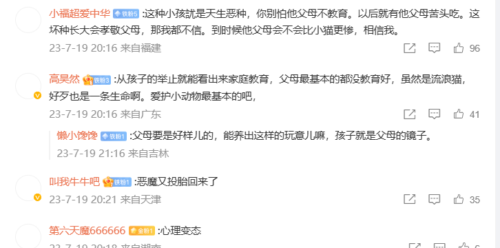 男童宠物店内摔猫致重伤,引发关注和思考