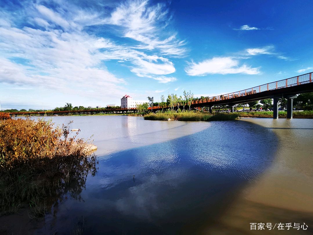 河南安阳:暴雨后的洪河公园,让我们生活更美好!