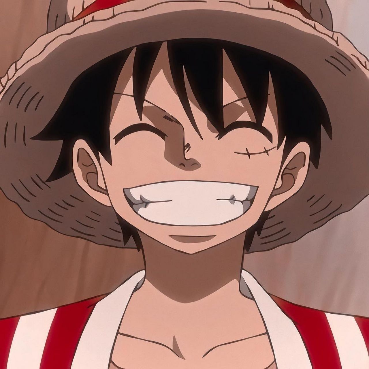 喜欢路飞的笑,总是有一种感染力