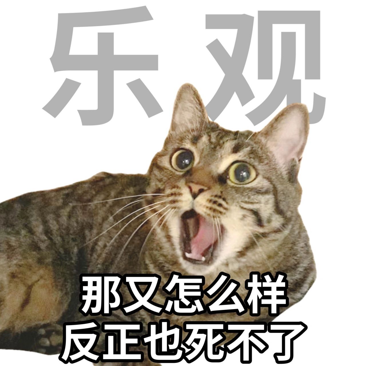 美好品德表情包勇敢:大不了去死  乐观:那又怎么样,反正也死不了高效