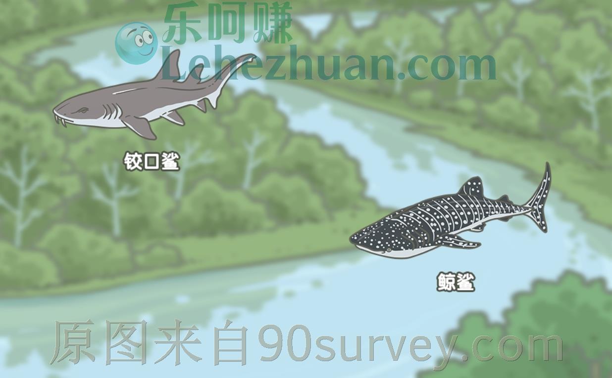 论体型,谁是世界上最大的鲨鱼?答案:鲸鲨 论体型,谁是世界上最大的鲨鱼?答案:鲸鲨