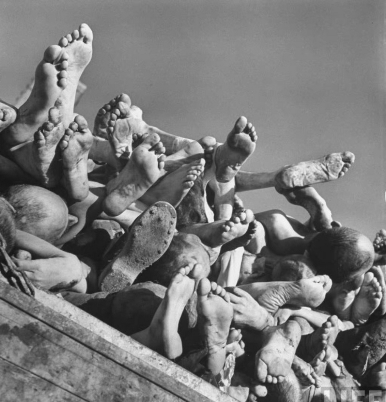 二战期间,布痕瓦尔德集中营里的幸存者,以及尚未处理的尸体.