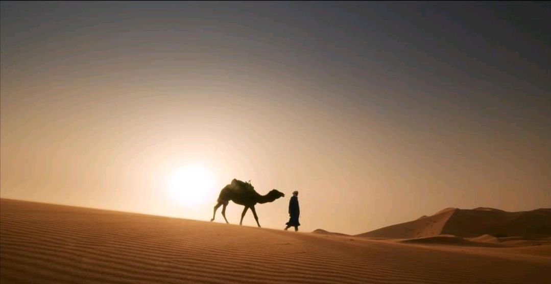 终究是时光上的旅人