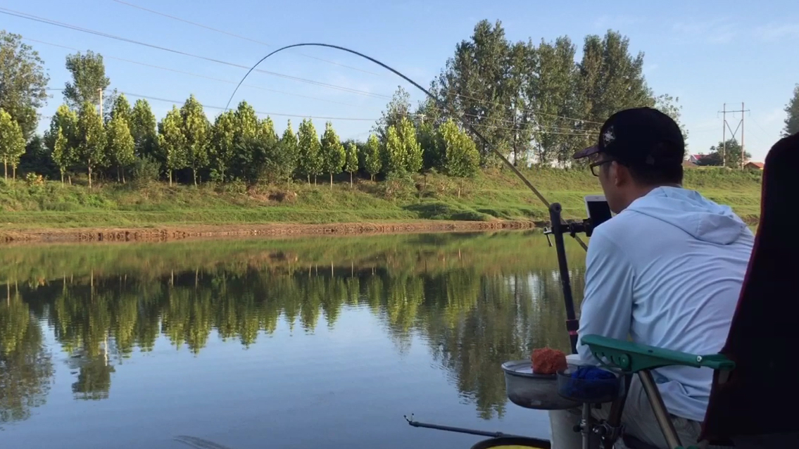 野钓:洪水过后河里全是家鱼,小草鱼泛滥,心疼鱼塘老板!