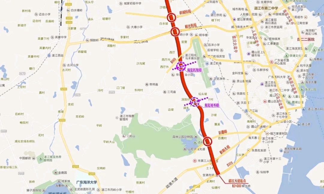 湛江大道详细线路图图片