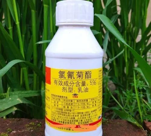 洋辣子用什么农药治效果最好?
