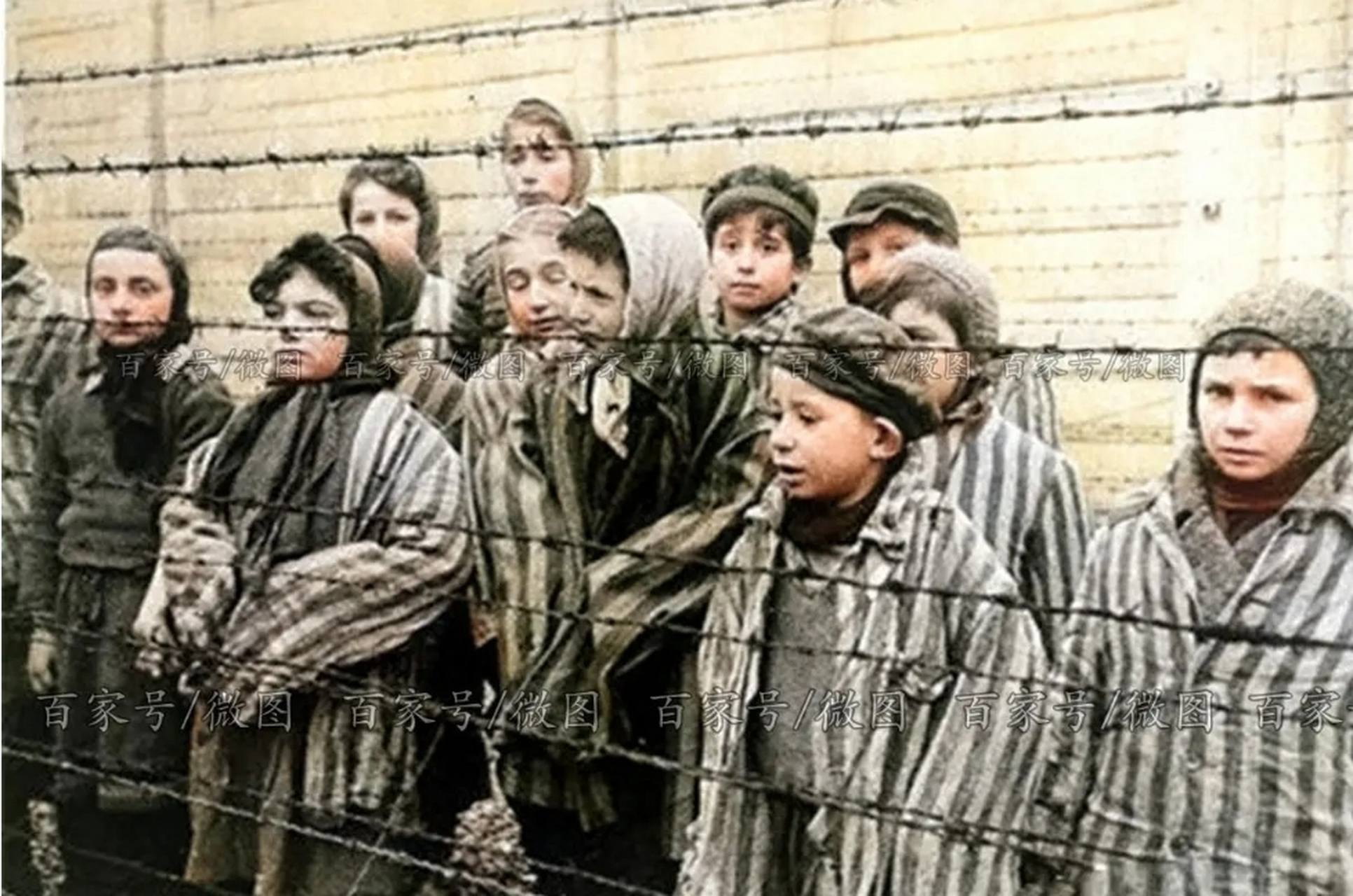 奥斯维辛集中营铁丝网内的孩子们,望着自己的父母被带走,不久他们同样