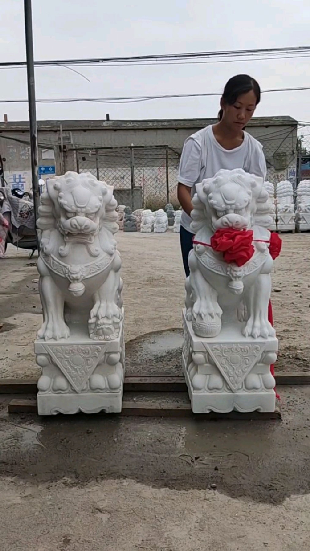 汉白玉石狮子,庭院门口摆件,大理石狮子雕刻