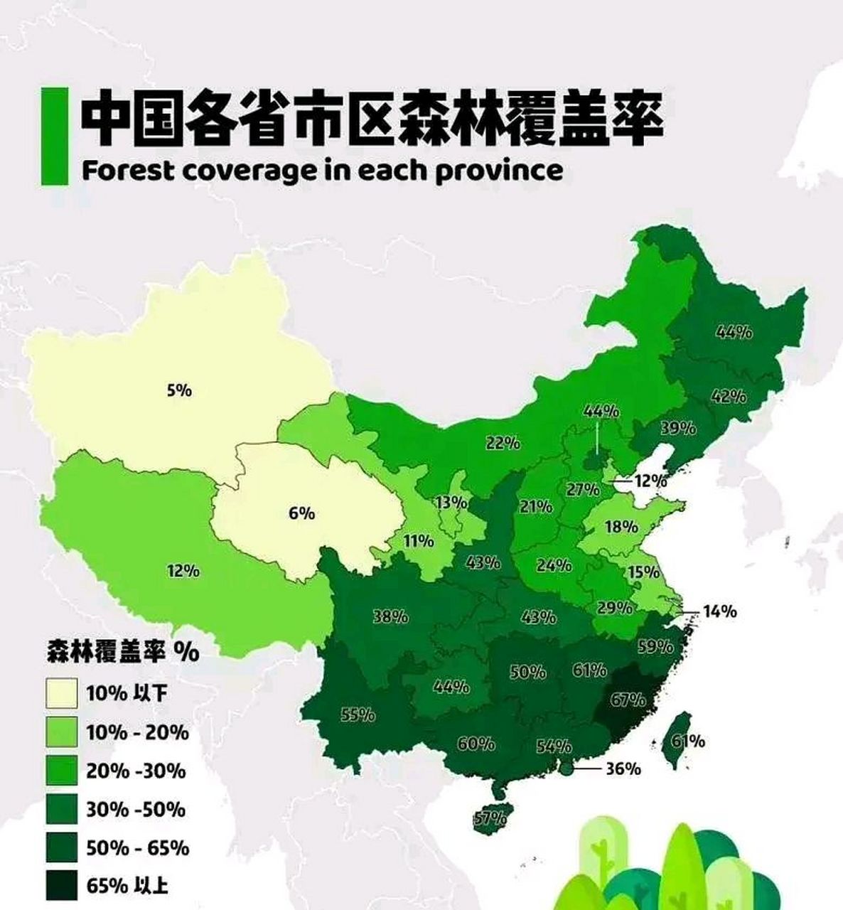 我国森林覆盖率上,有4地那是超过了60%,包括江西,福建,广西和台湾.