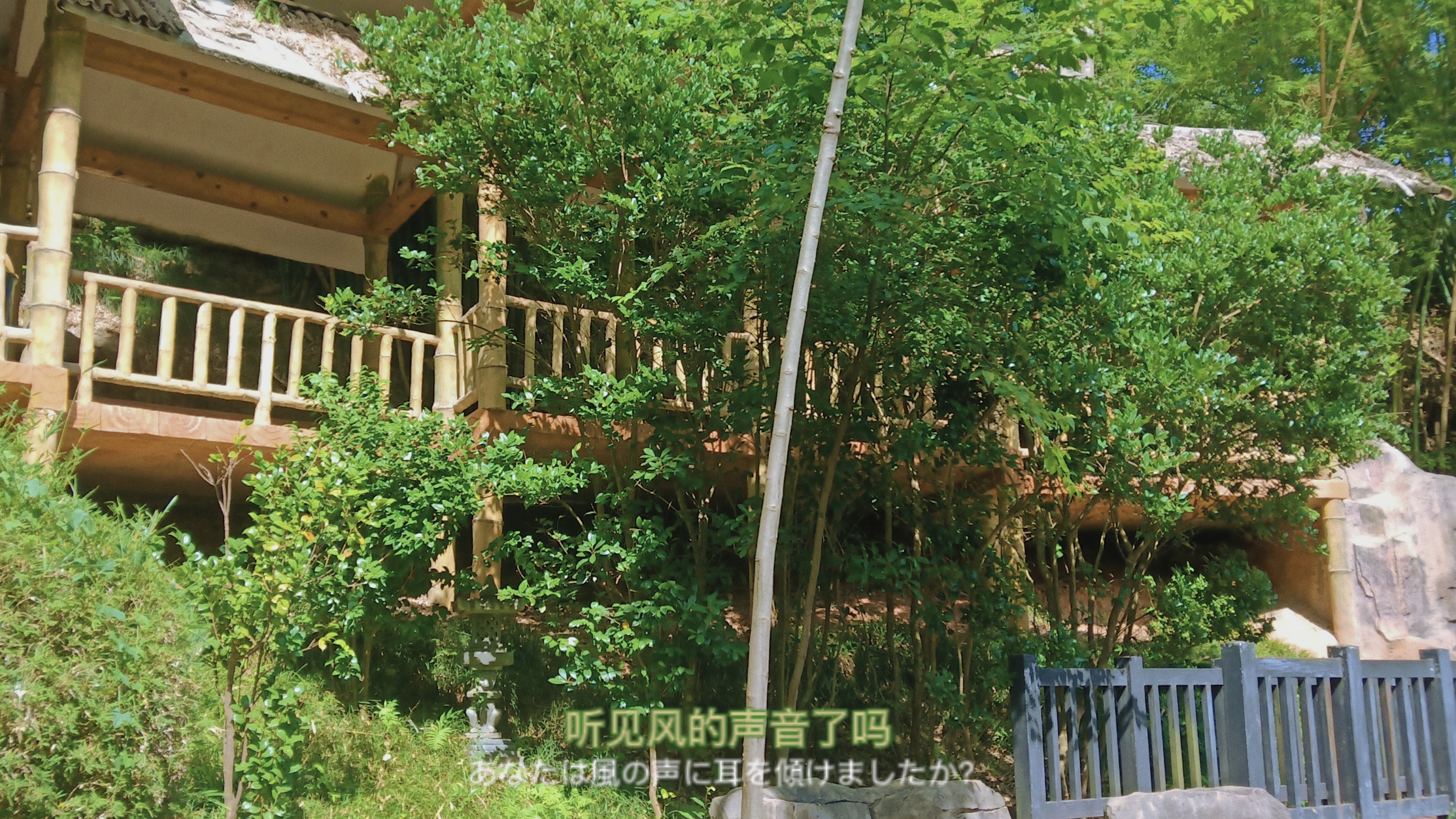 《他的小仙女》|我是安静的陈述