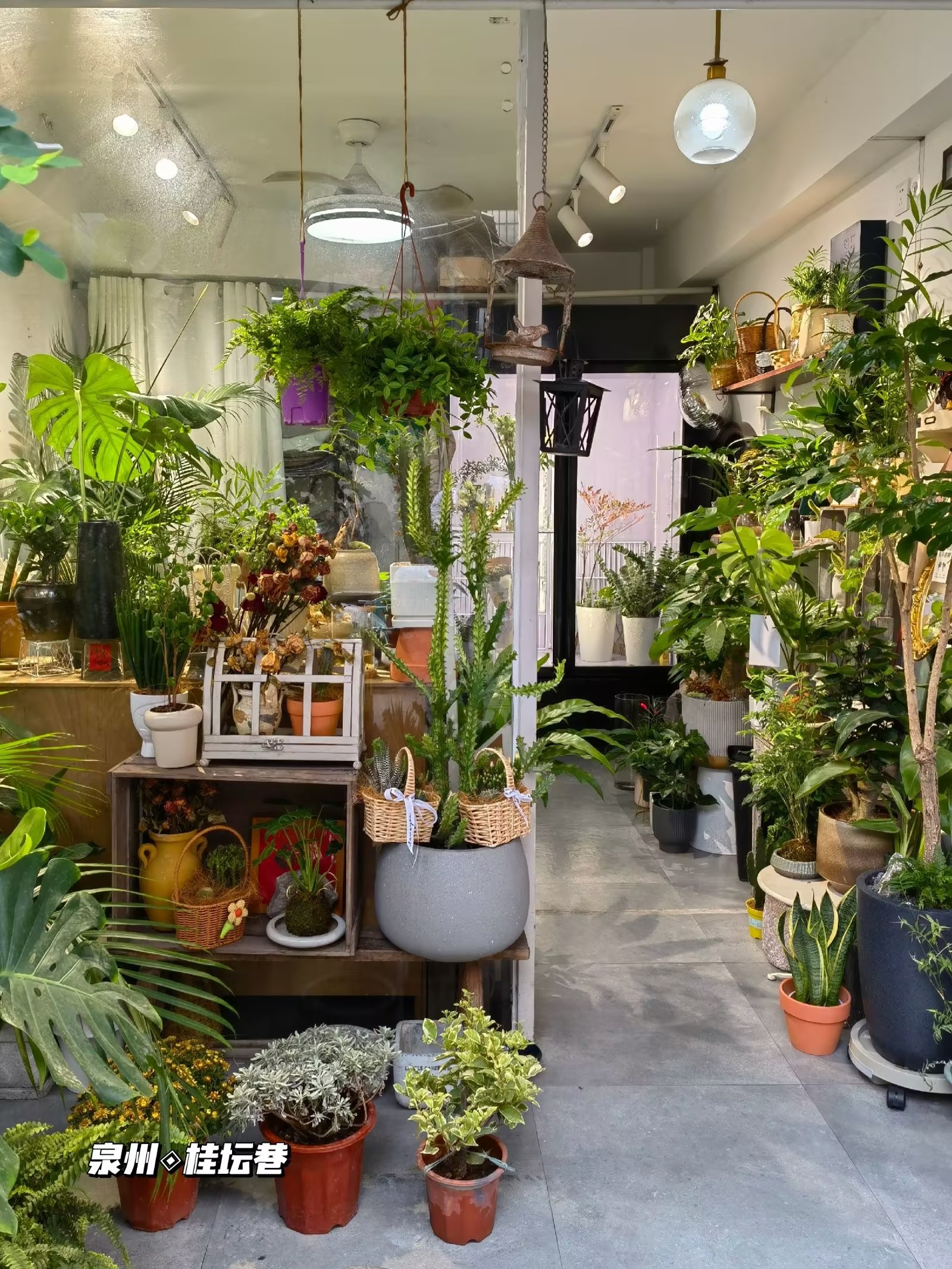 泉州探路‖文人折桂登坛的桂坛巷