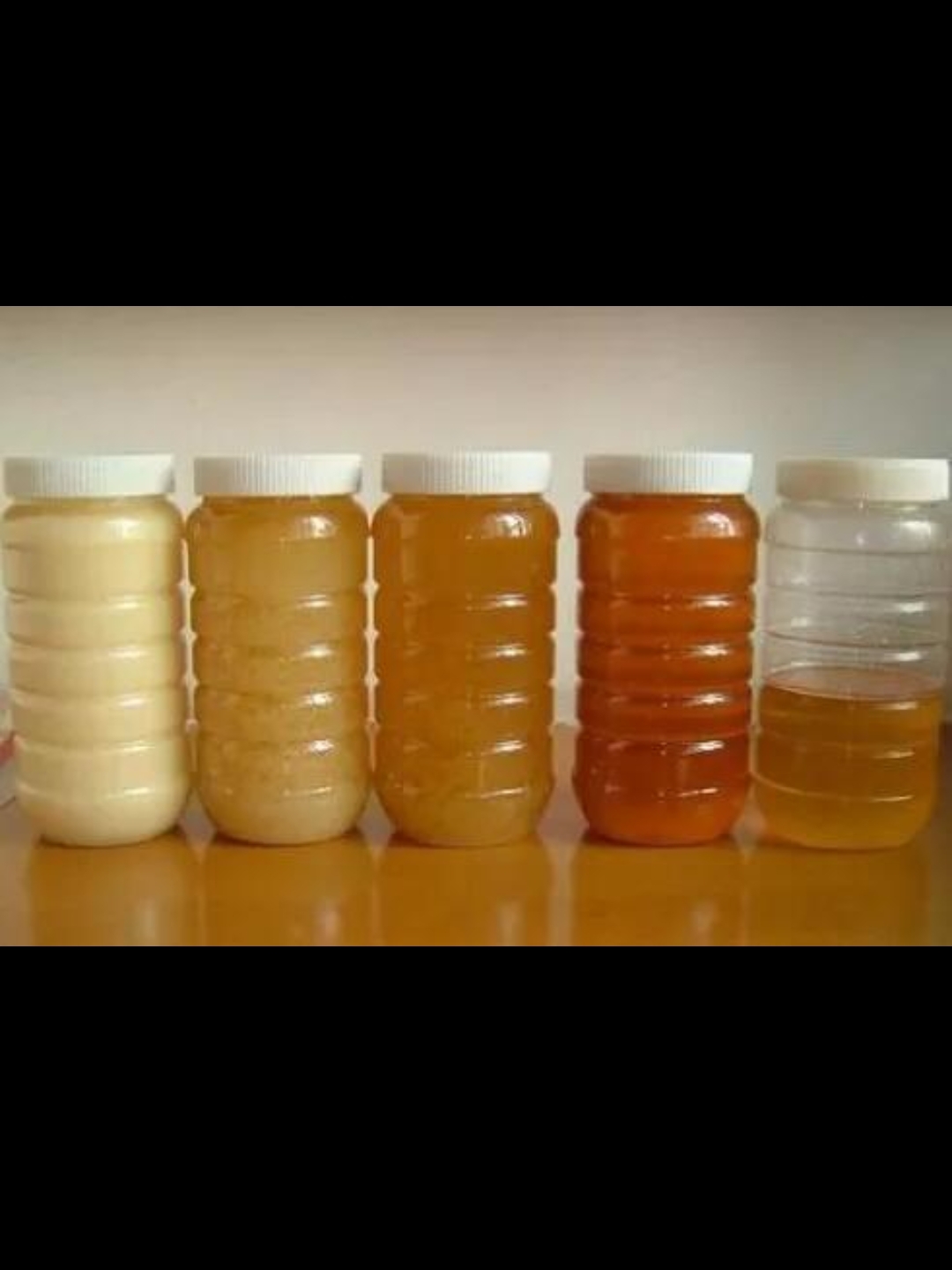 自家养中蜂白花蜜