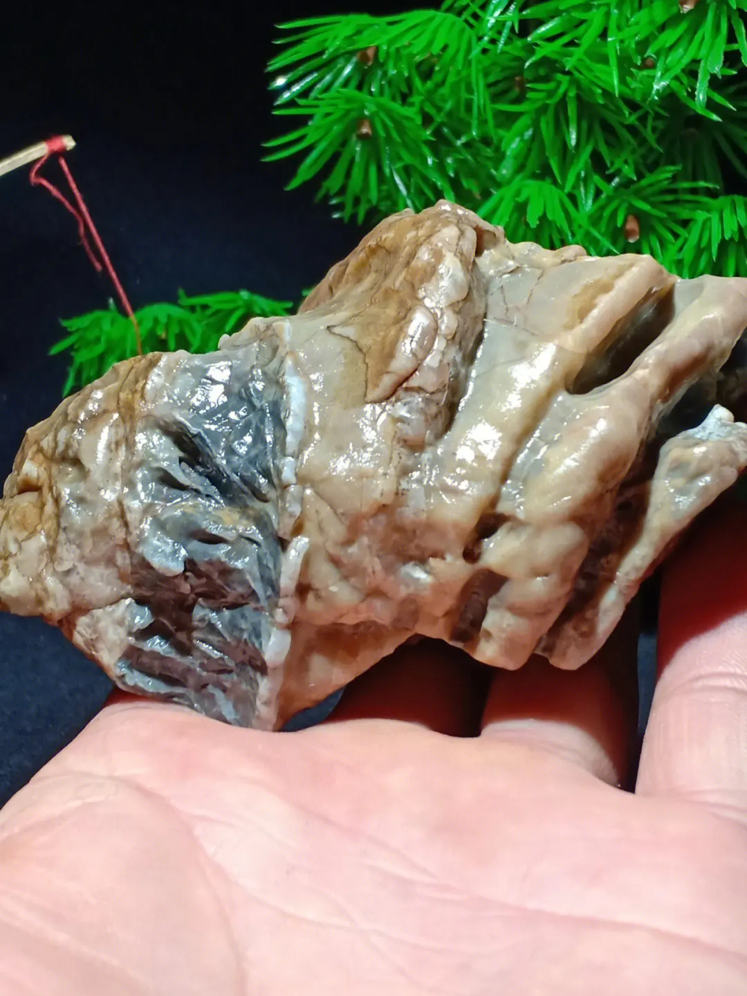 去戈壁滩旅游,不要错过这9种石头,它们是不可多得的文玩奇石!