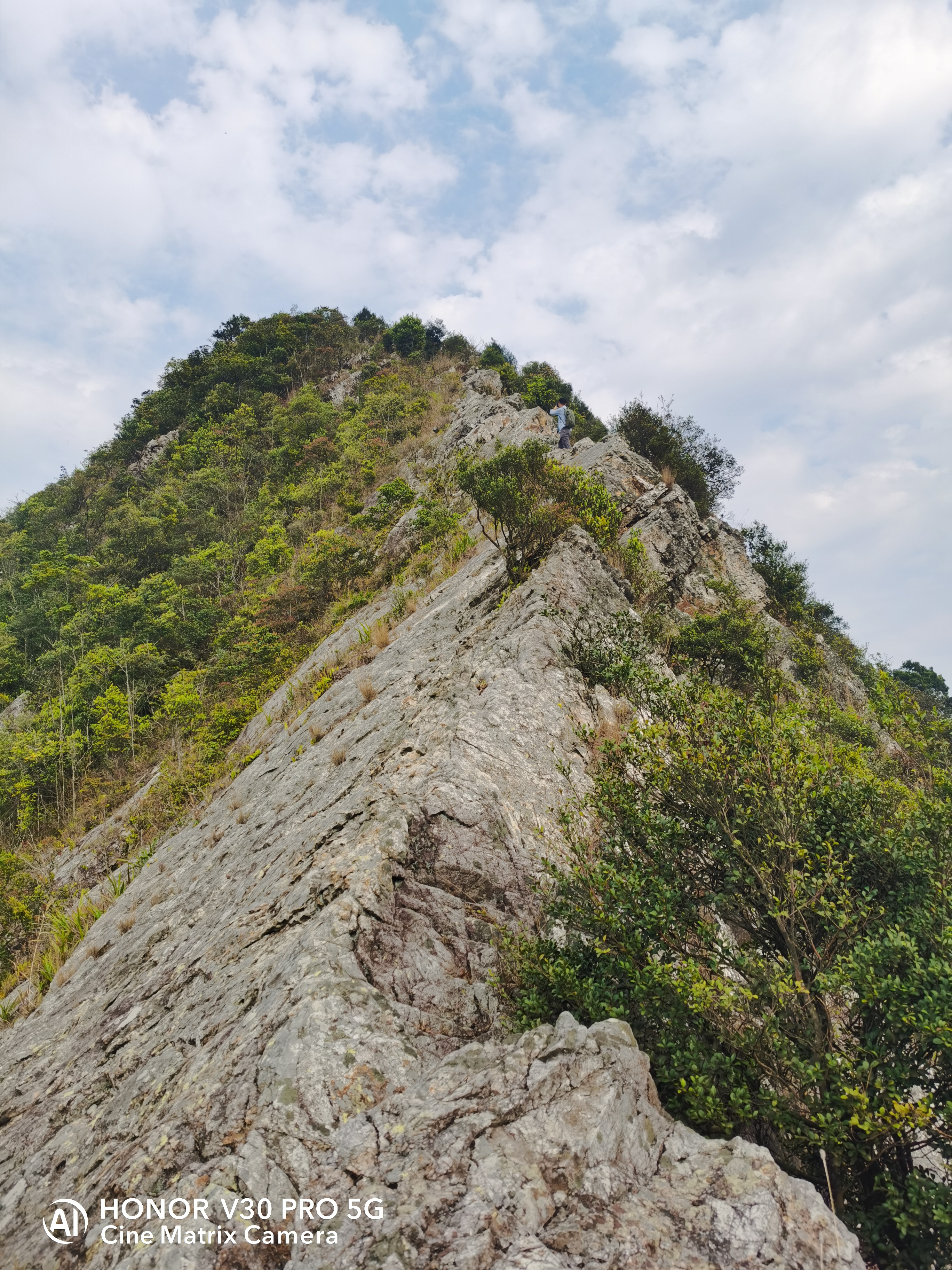 深圳排牙山森林公园图片