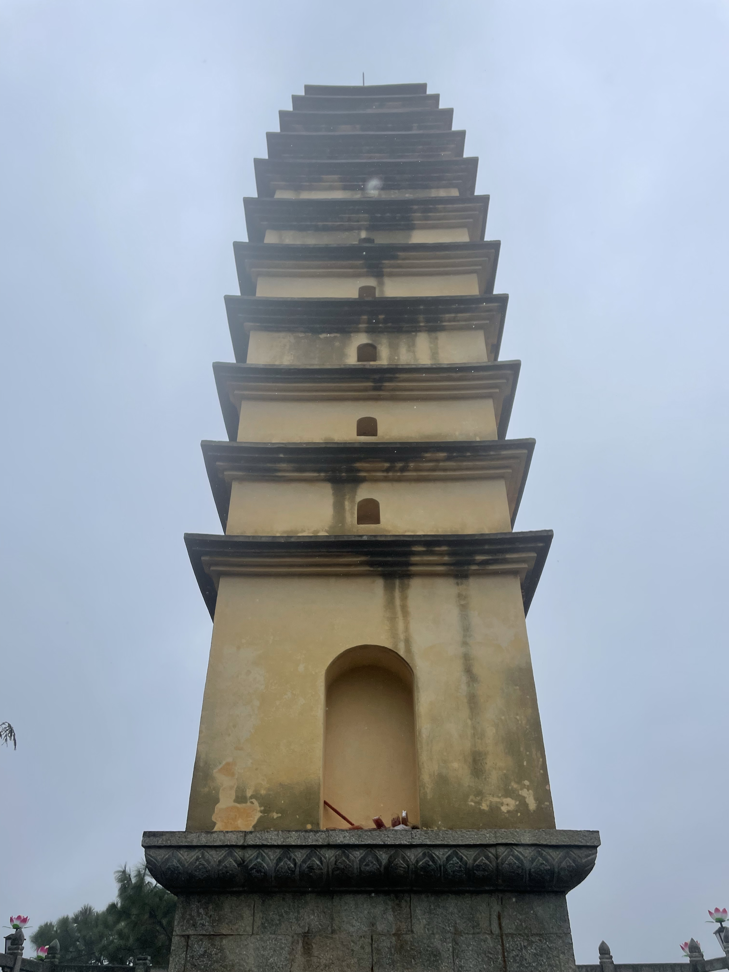 水目山舍利子图片