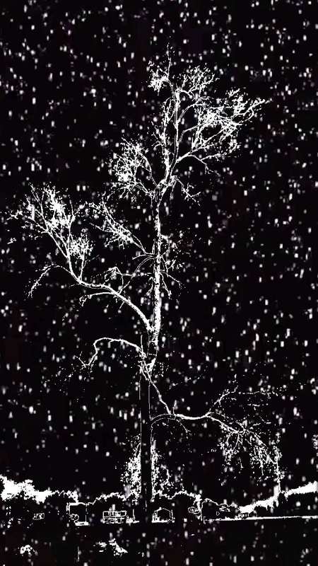 风雪交加的雪村夜晚烟花好璀璨