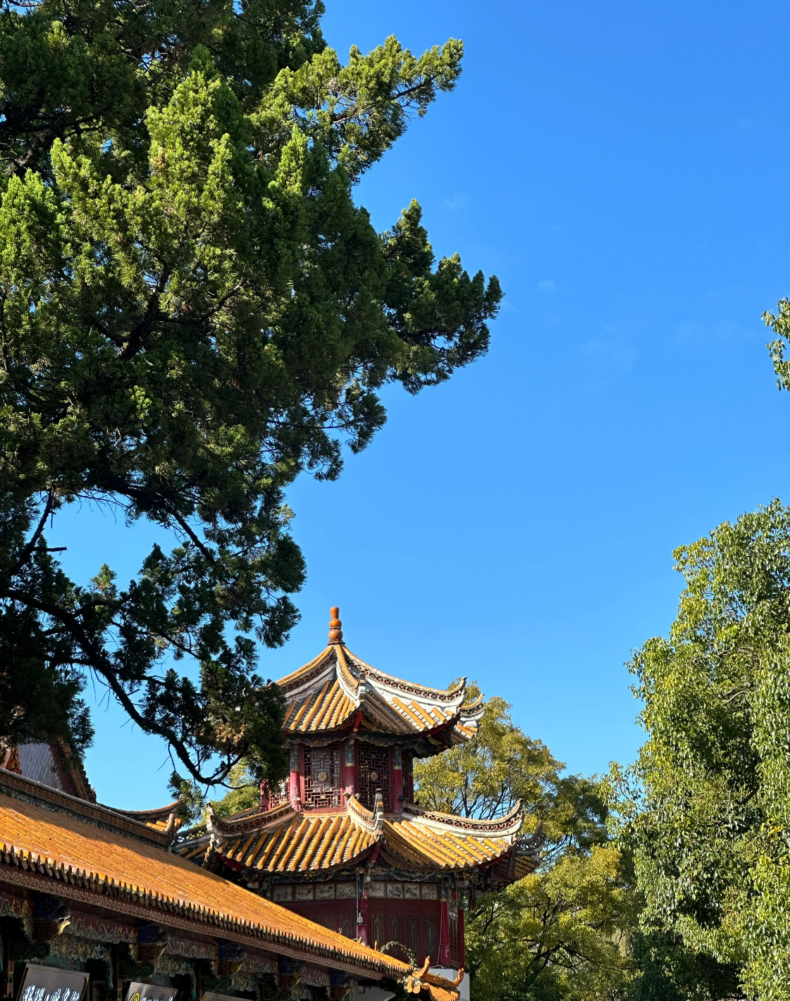 翠湖景点介绍:这个季节的翠湖公园简直不要太舒服!