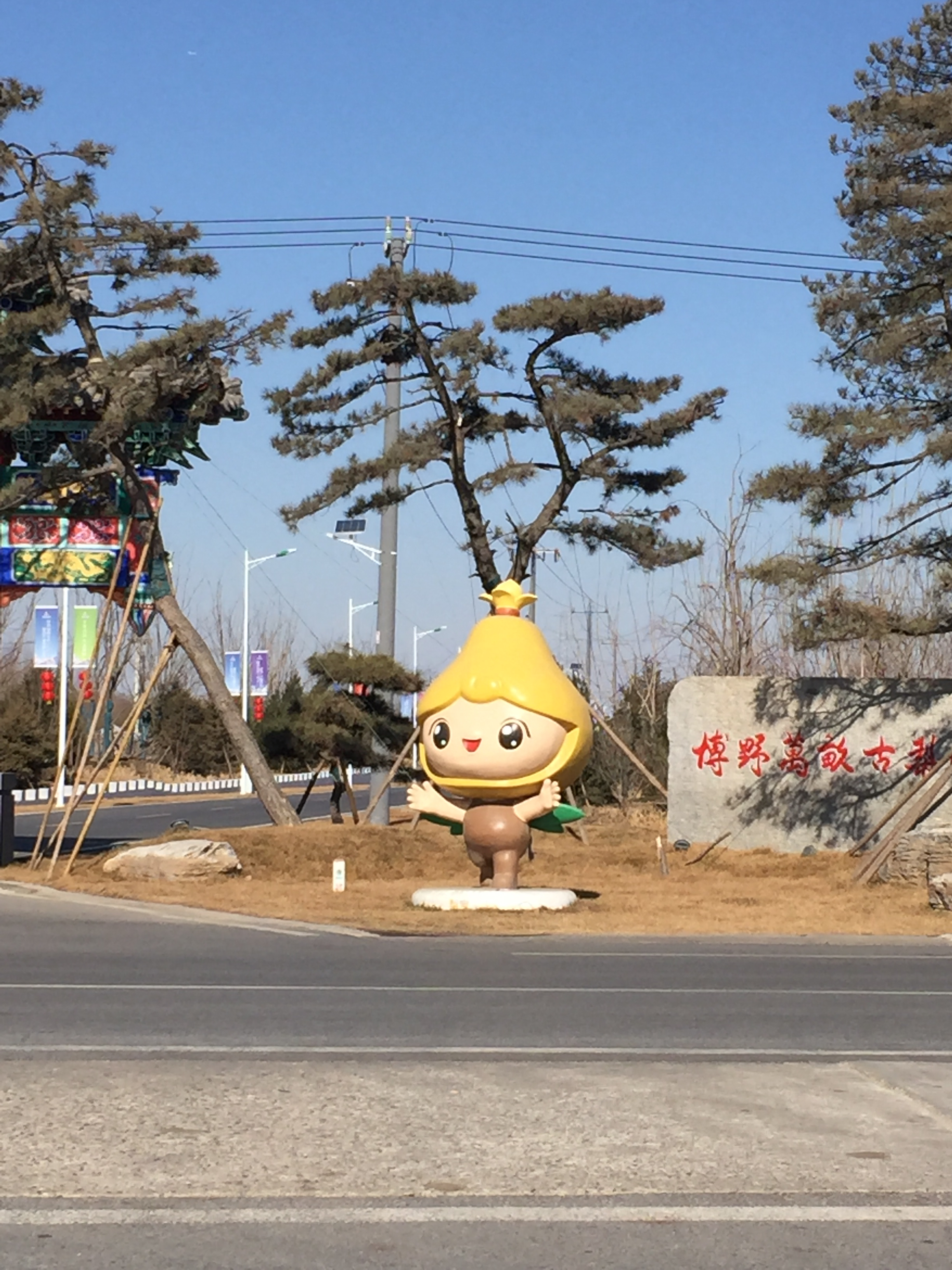 正月旅游记:路过千年梨园沙沃,冯村