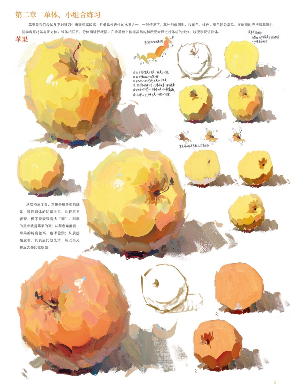 常见的色彩静物单个物体高清临摹素材分享!