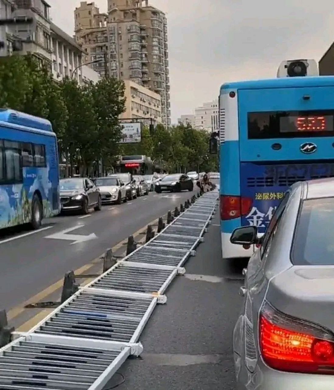 近日,在浙江金华一条主干道上,陈女士和男友看到马路中间护栏倒地