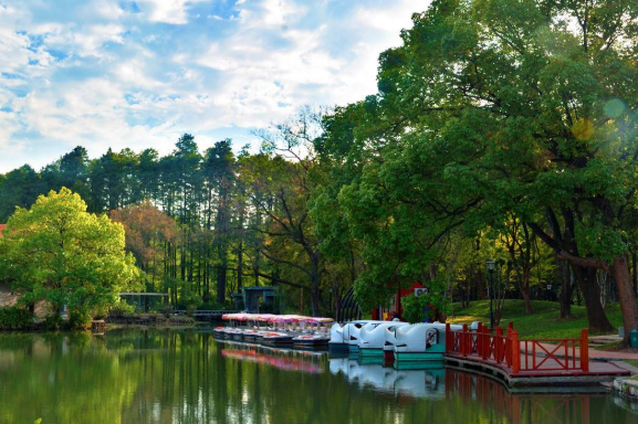 武漢一公園成網紅打卡點,面積超越江灘公園,門票免費