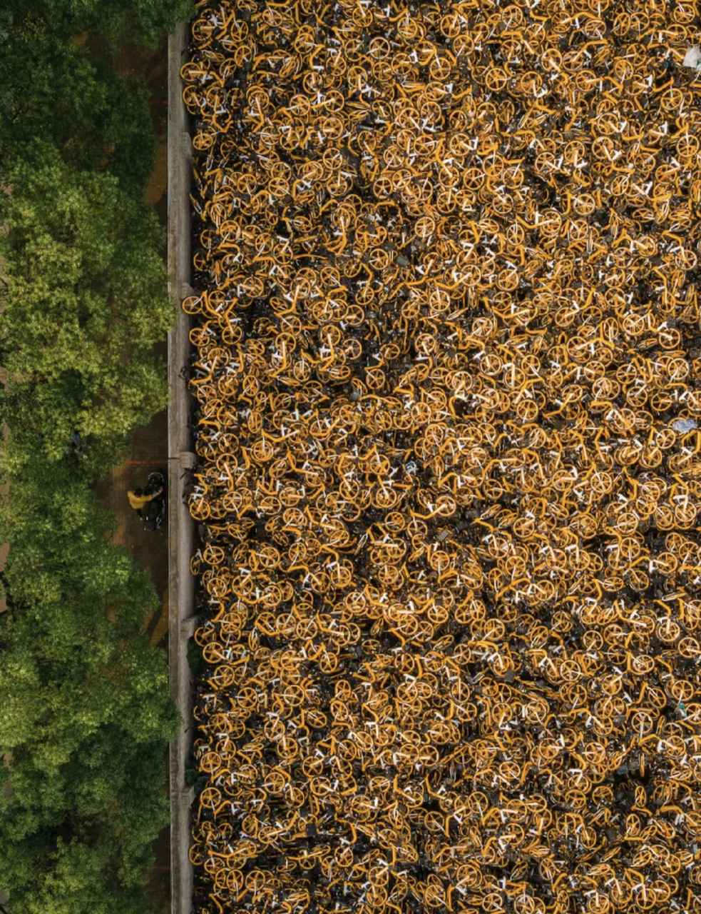 偶然路过一片共享单车堆成的小山,图2和图3是另 外两个角度的样子.