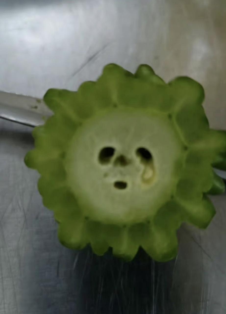 网友:看看这表情,长的就很苦瓜[捂脸]