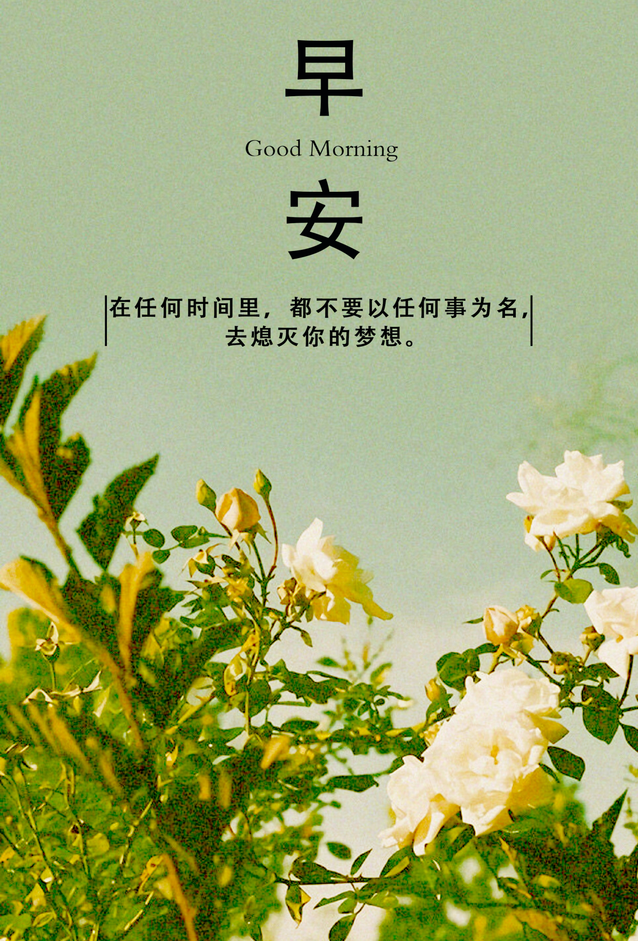 发朋友圈励志早安的句子,精致美好,不落俗套!