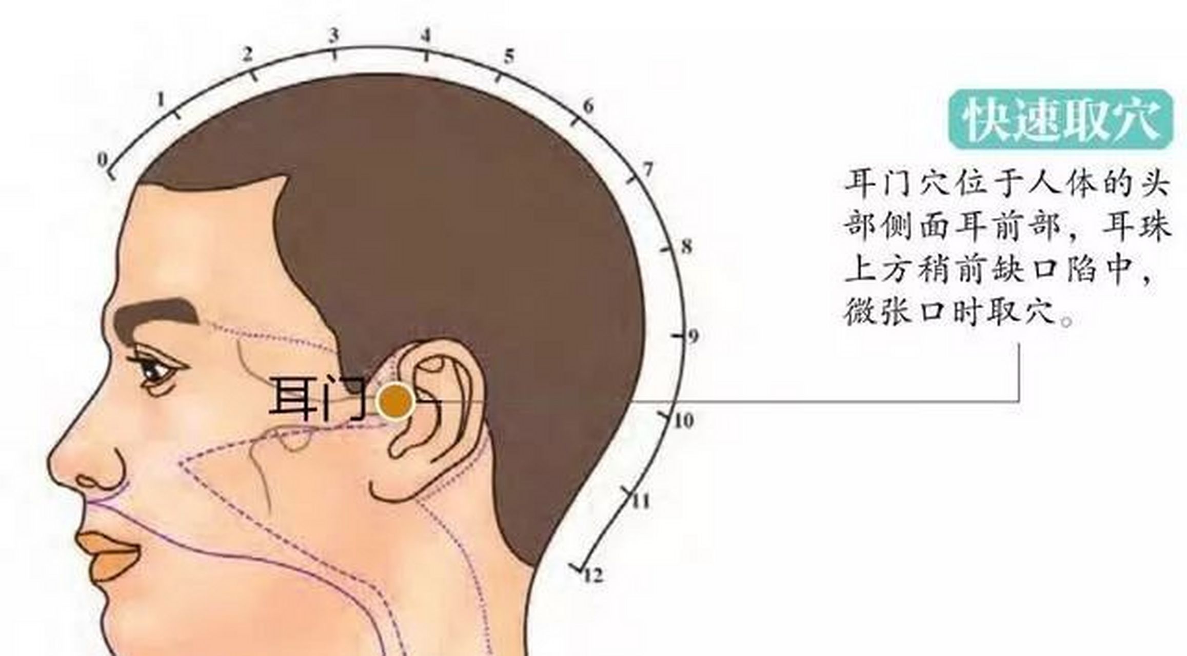 人体常见致命穴有哪些?