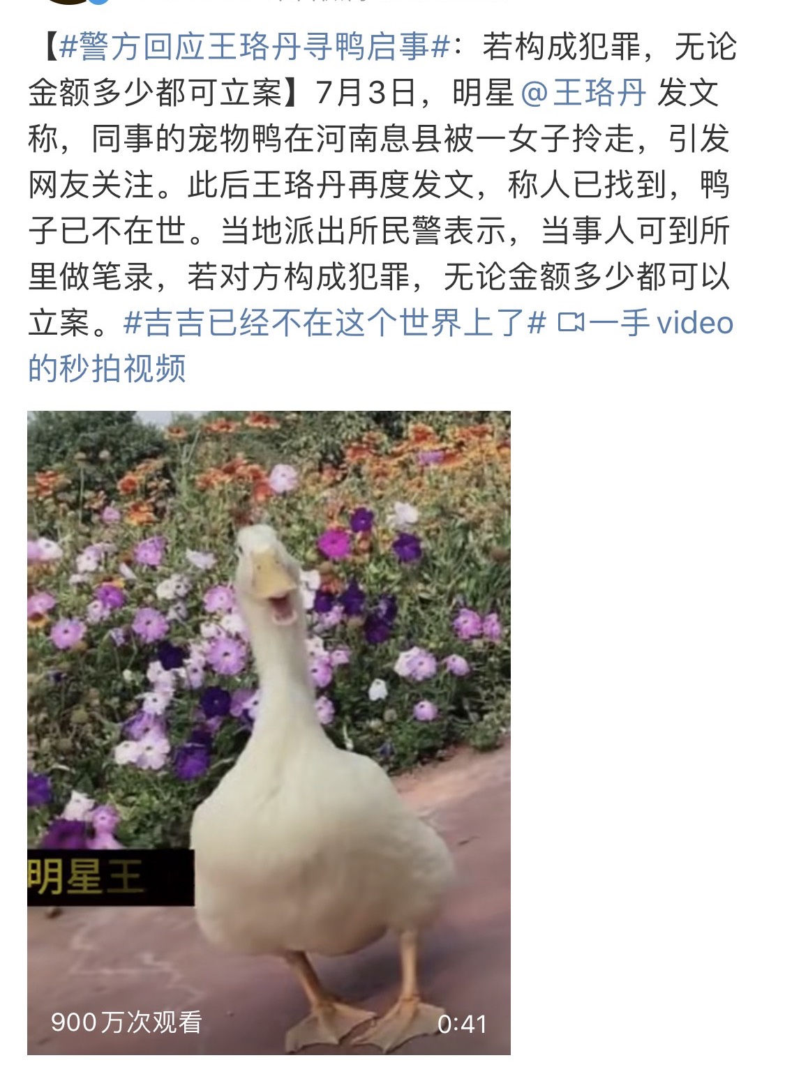 王珞丹凌晨寻鸭,感谢的方法很别致