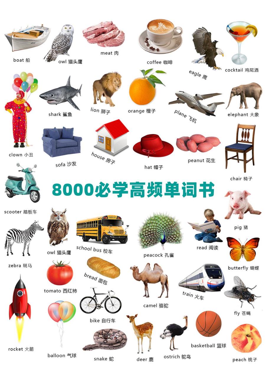 高铁用英语怎么说?