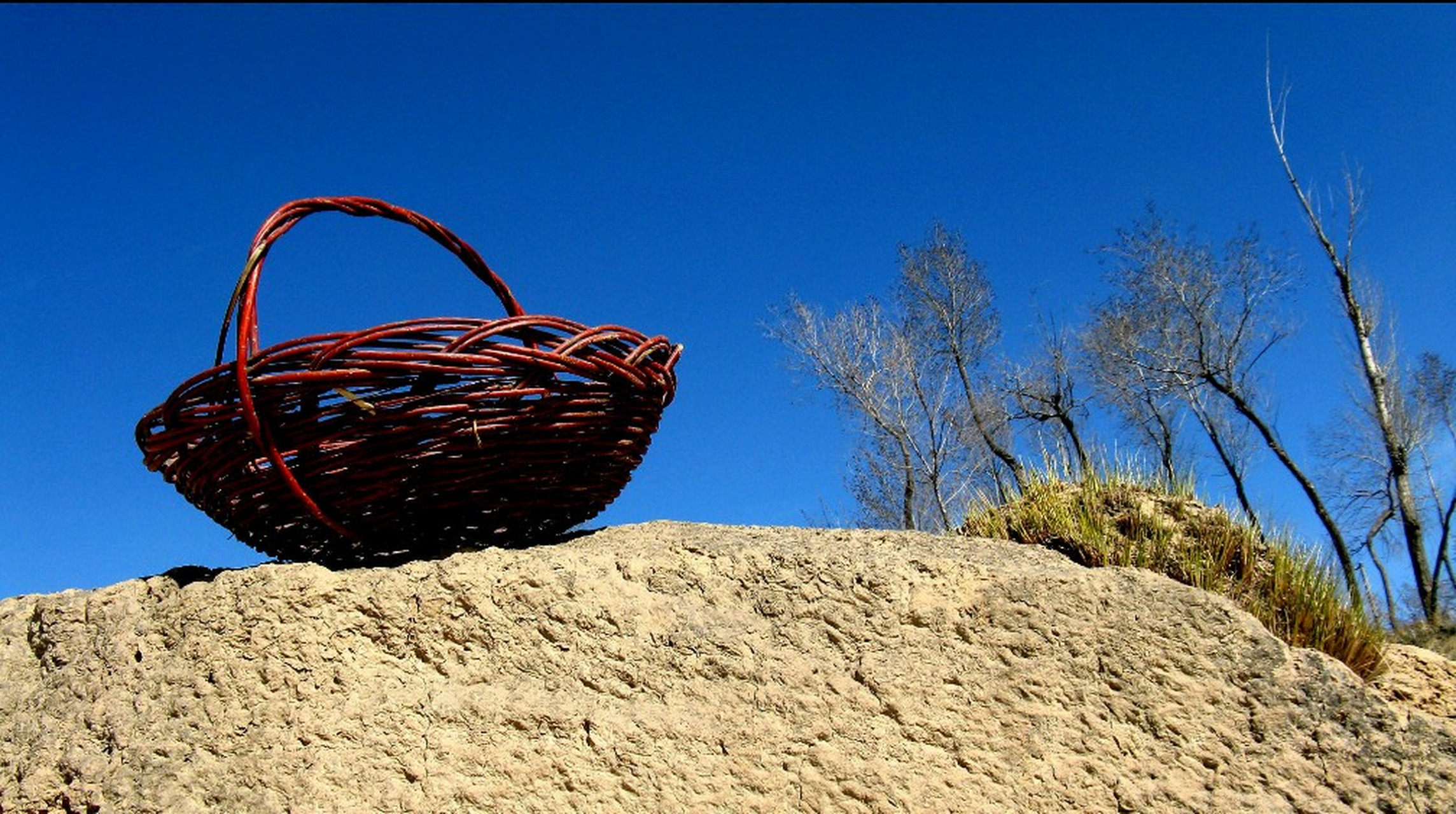 我们的生命不过是宏大宇宙中的一粒微尘. 其实我们是非常渺小的.