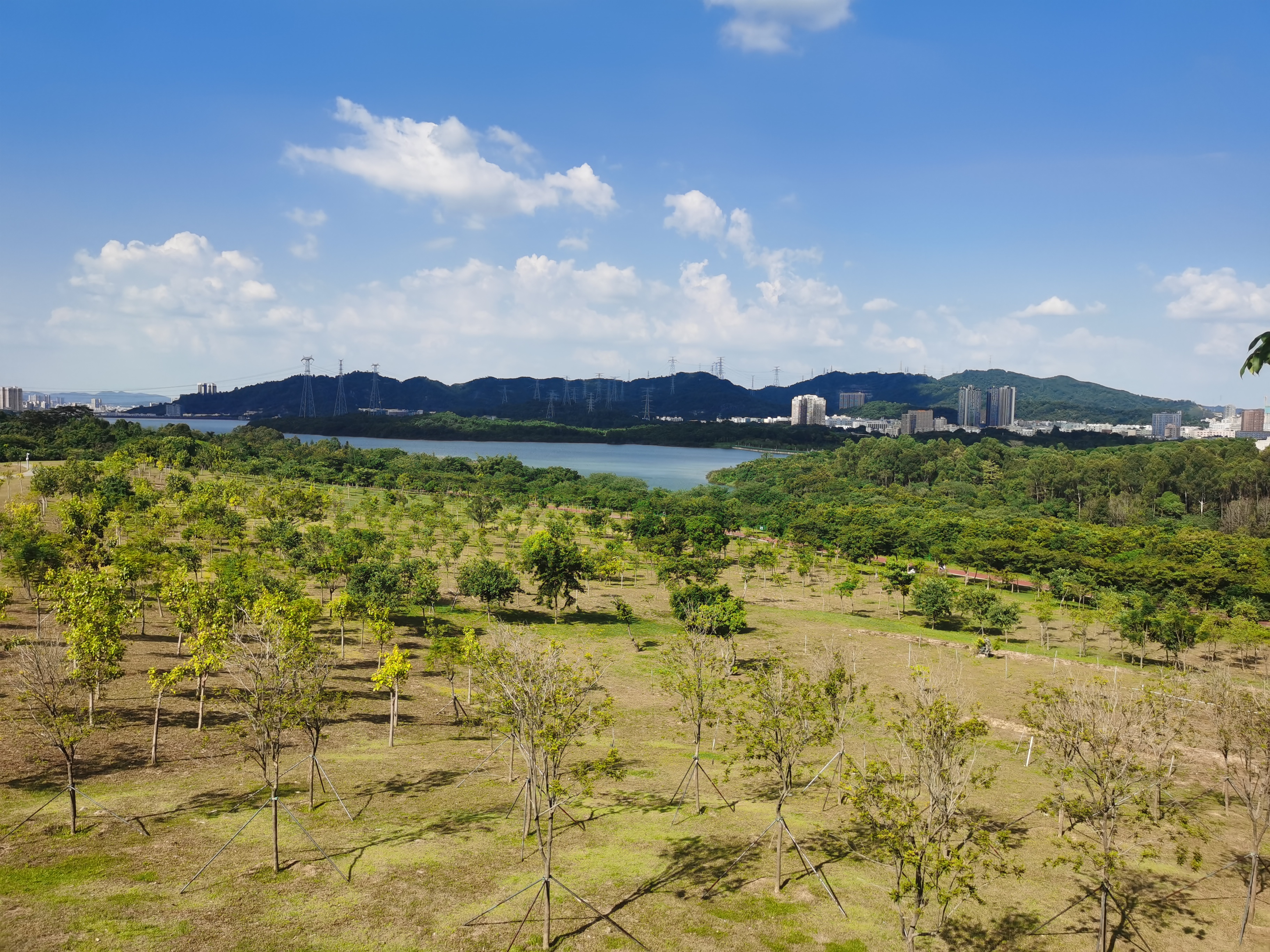 深圳石岩附近免费景点图片