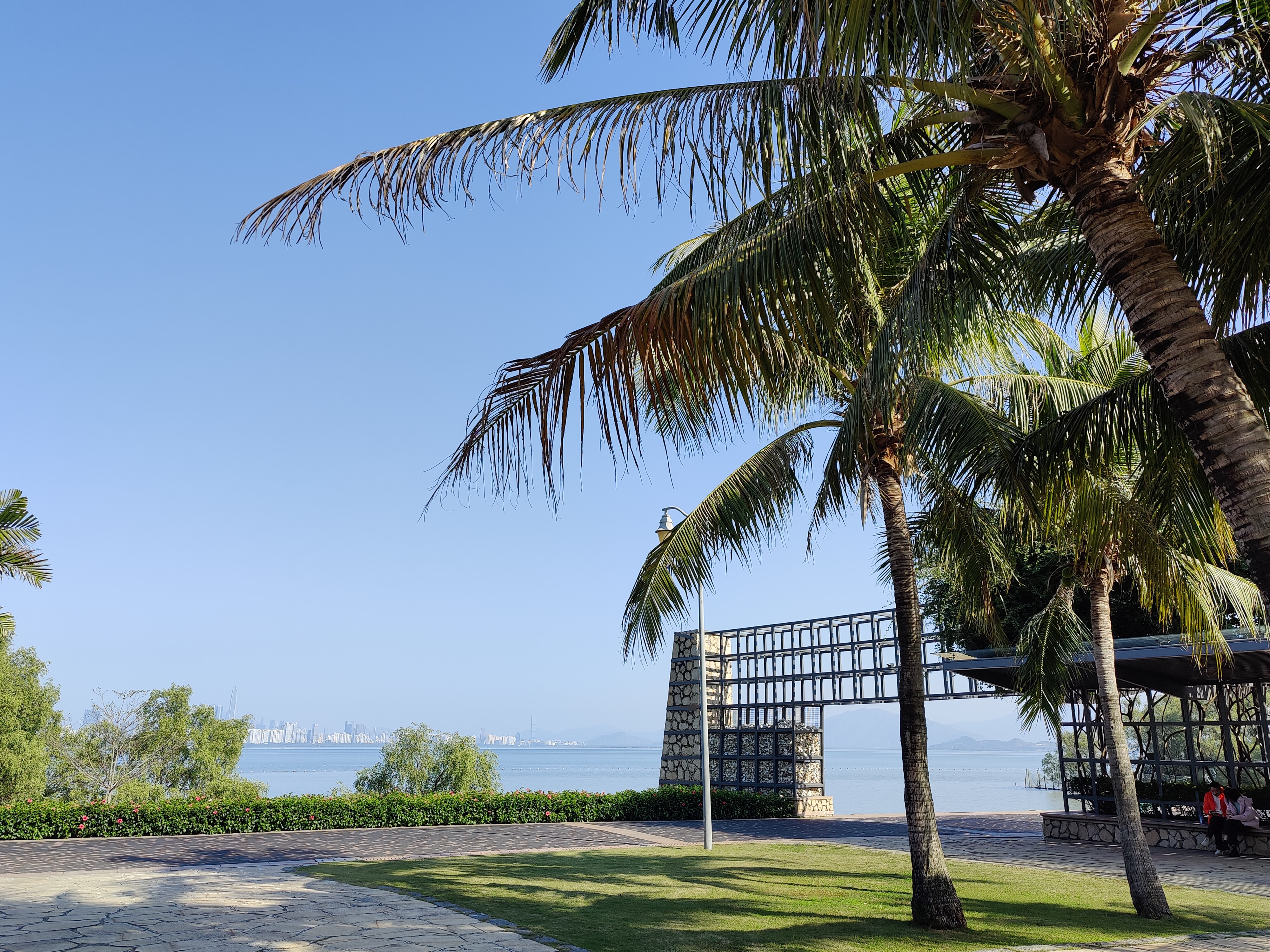 深圳湾公园,原来这么美
