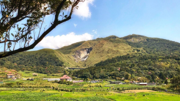 登陽明山公園:這滿眼青翠,奇幻的自然美境,絕妙無倫