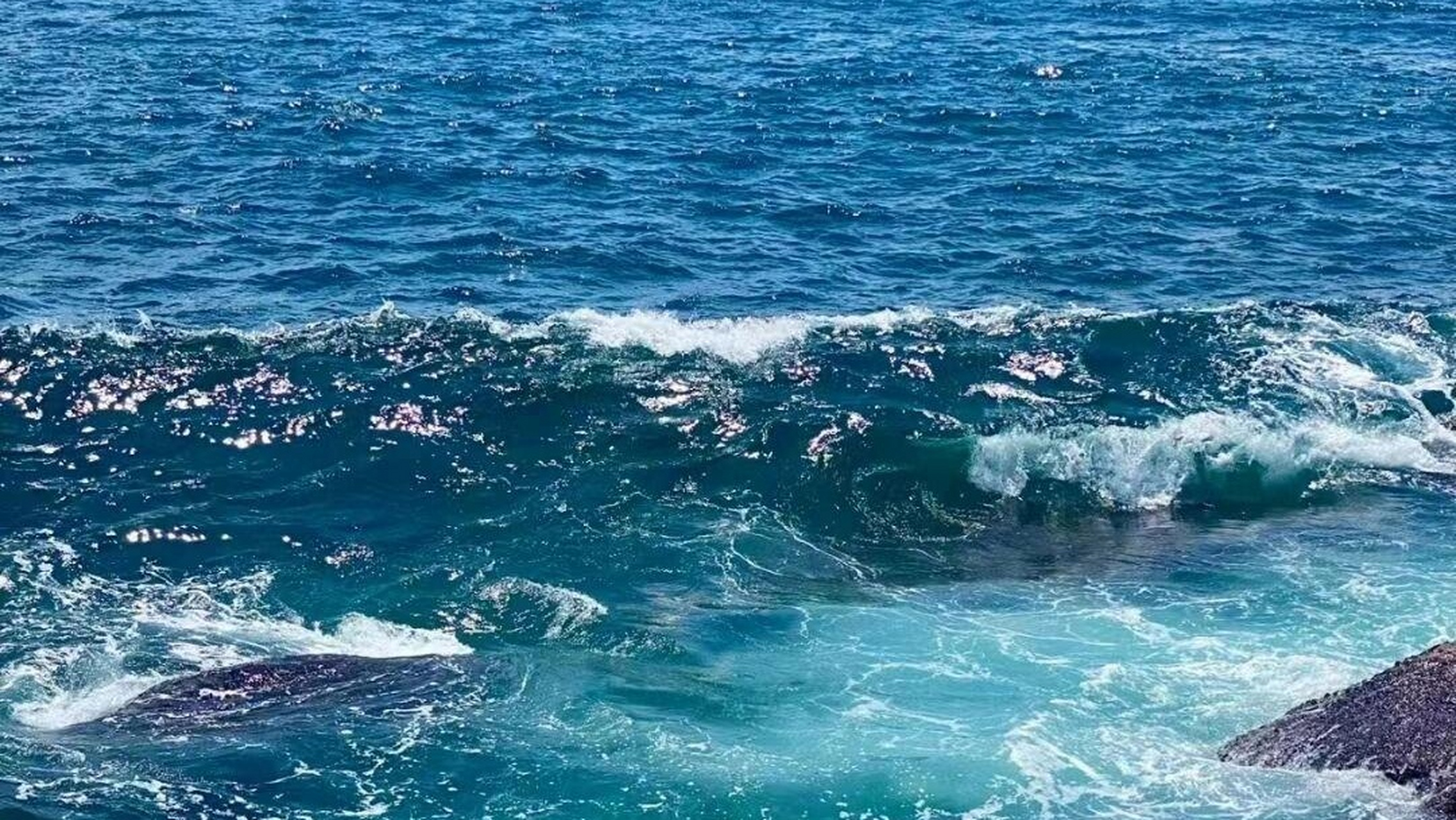 莫言说:"尽量不要为已经发生的事后悔,永远抬头挺胸向前看.