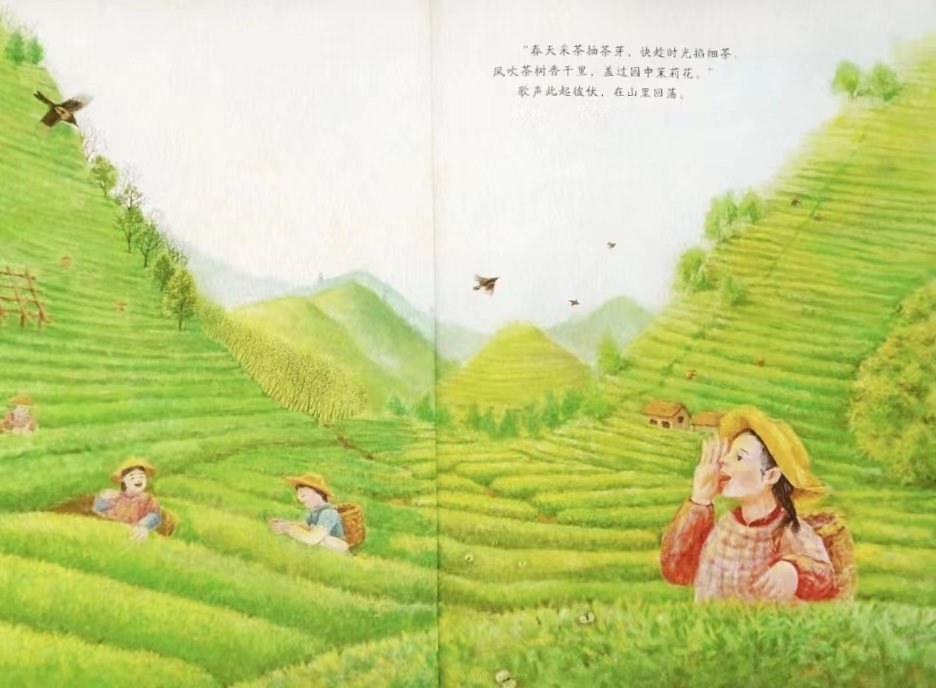 国际茶日,通过一些列和茶有关的绘本,揭开茶的古老面纱