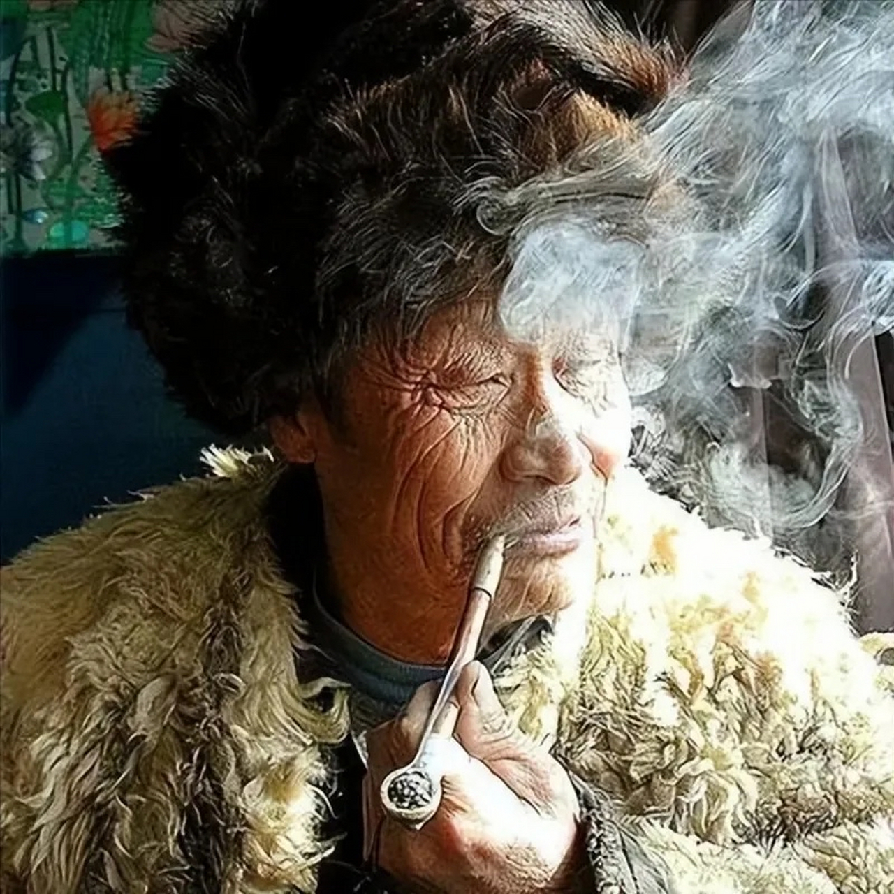 [撒花]1964年,东北长白山一猎户捕获一只野猪后,竟然被受伤的母狼跟了