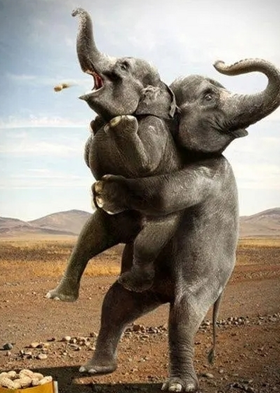 好吃的花生,大象都爱吃.广告设计夸张到爆