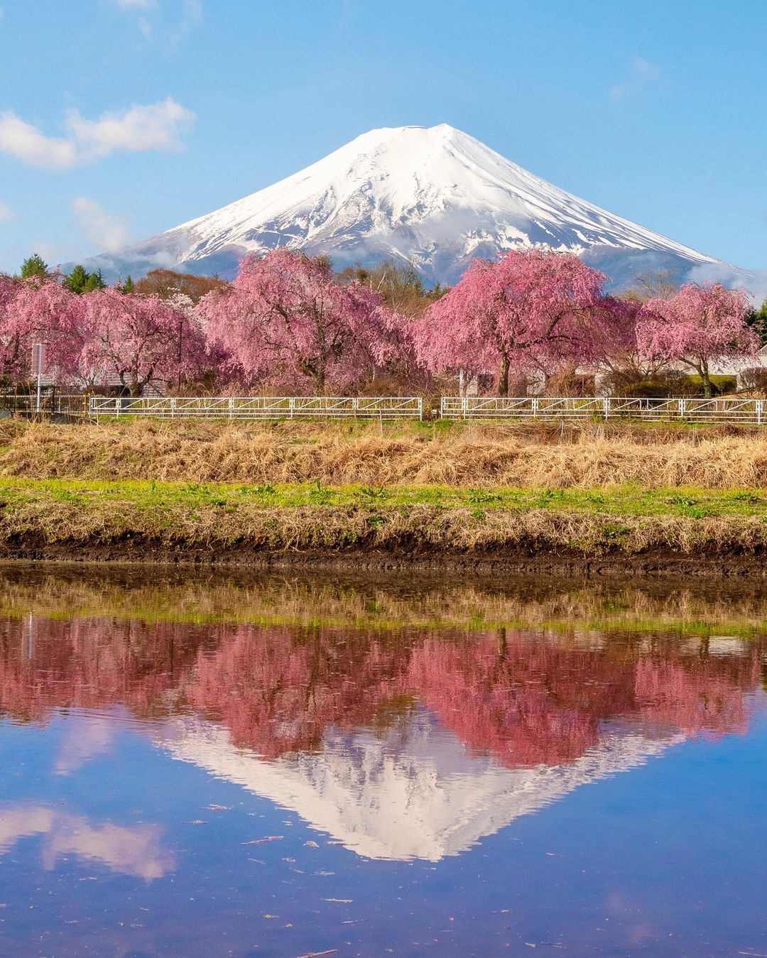 日本富士山