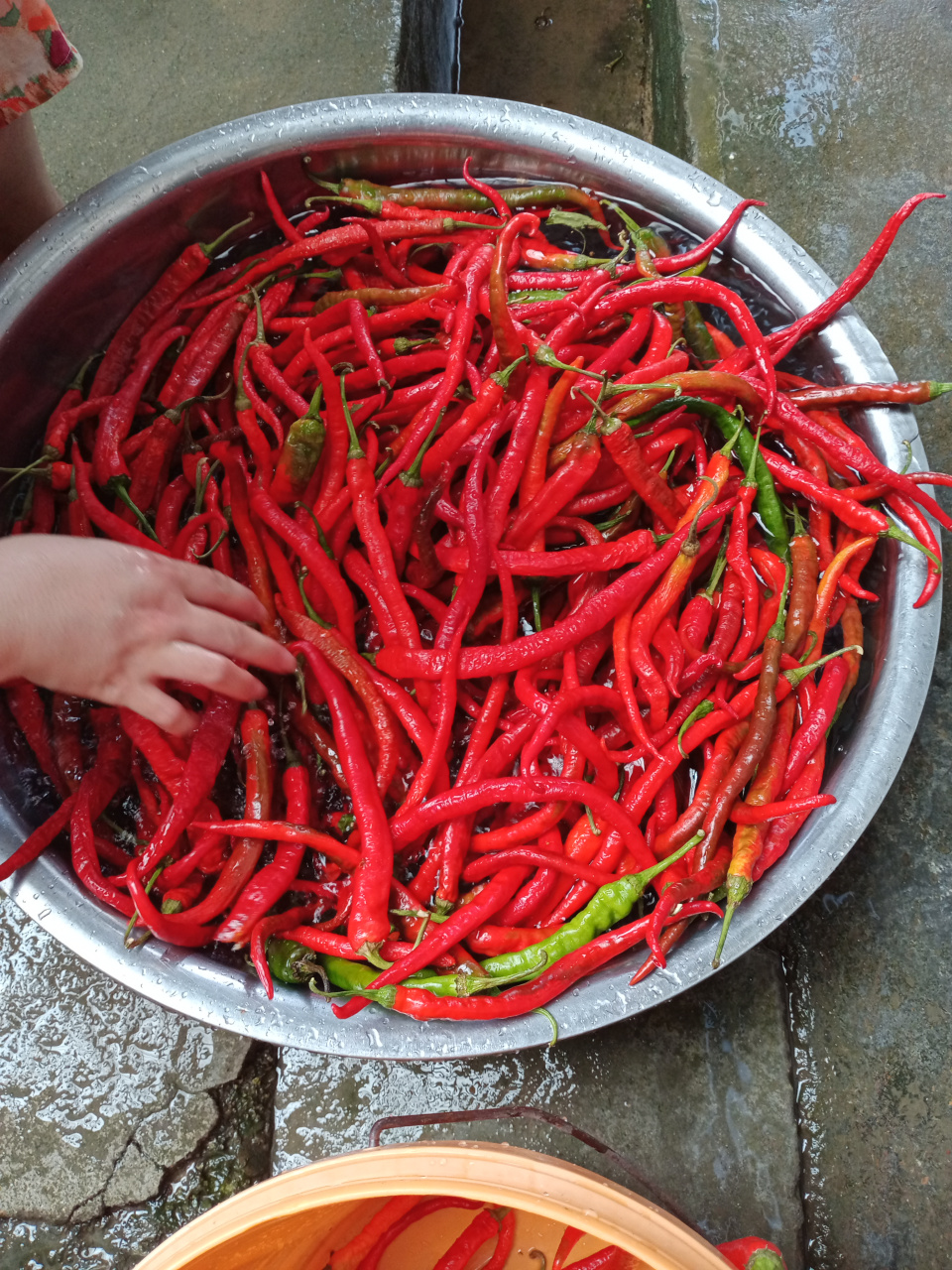 一洗二烫三晾晒[呲牙][呲牙][呲牙]  今天在老家,正好遇上爸妈晒辣椒