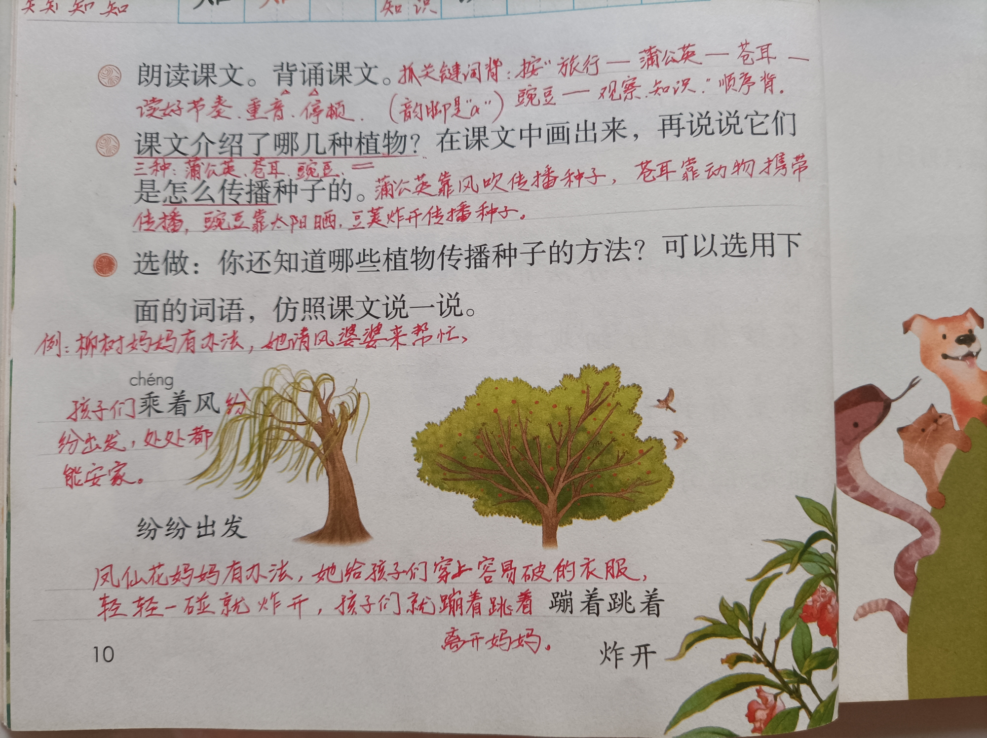 二年級上冊《植物媽媽有辦法》,資深教師教學生學課文,巧背誦