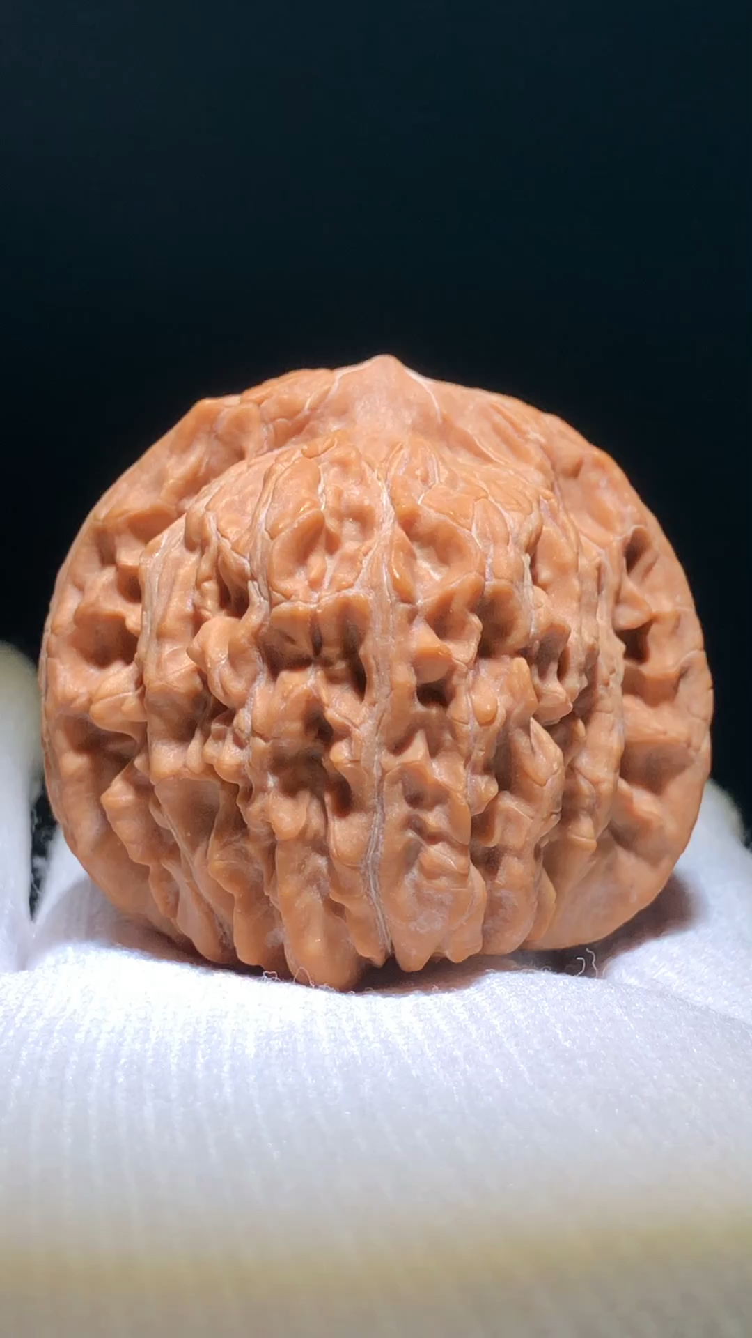 全品44尺大四座楼狮子头