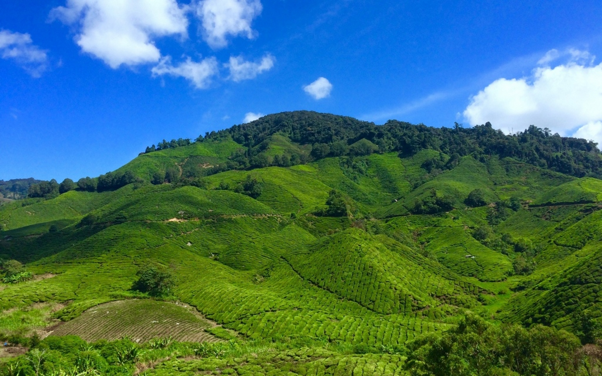 绿色大山壁纸,在阳光下,远山就像洗过一样,历历在目,青翠欲滴 