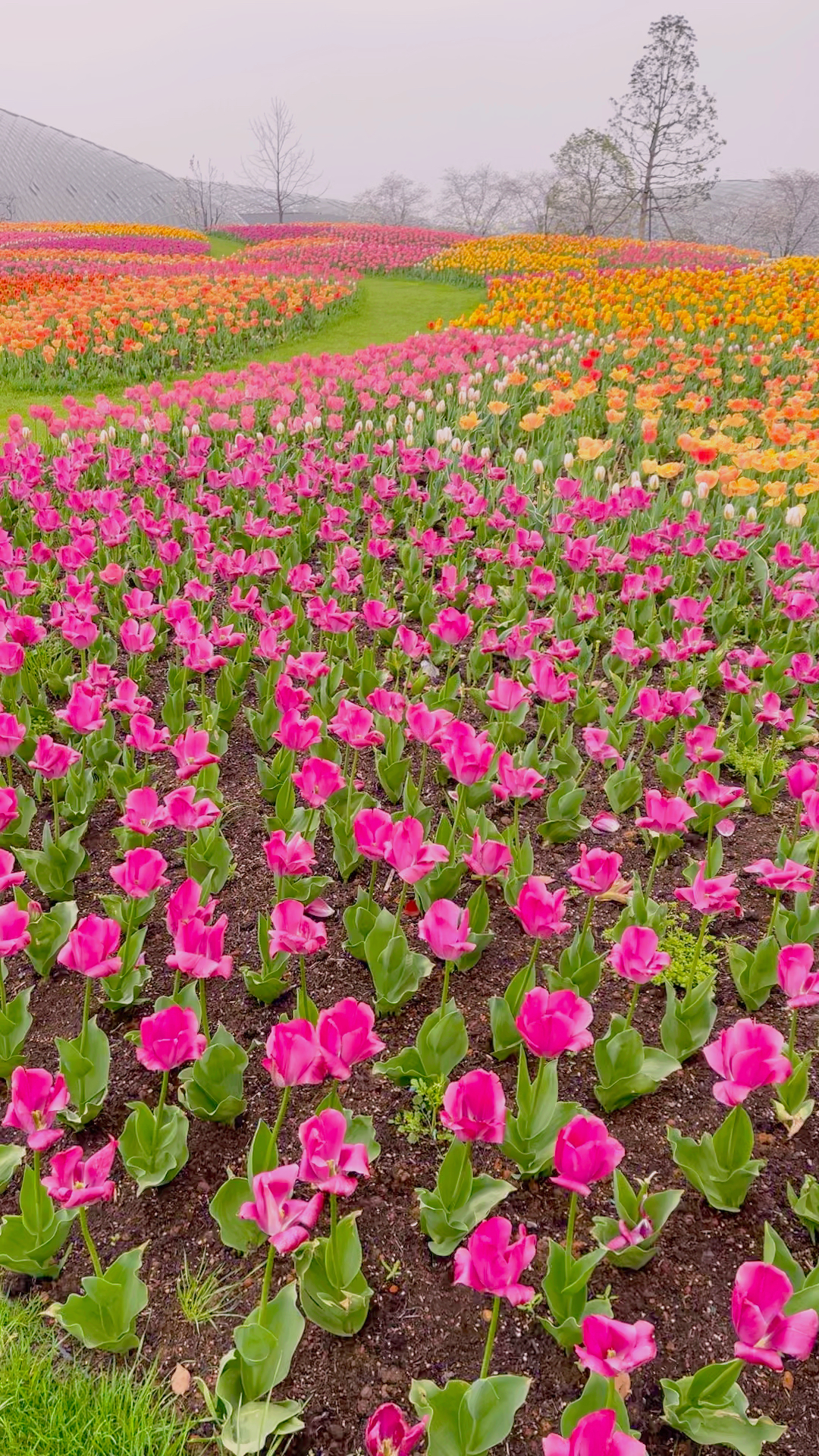 上海辰山植物园